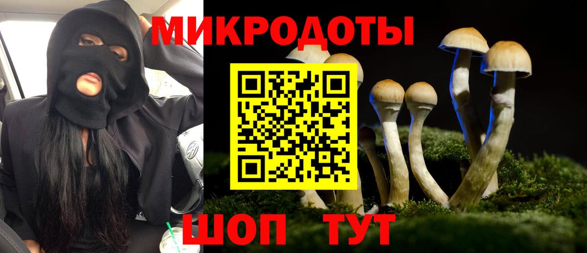 Псилоцибиновые грибы прущие грибы Находка