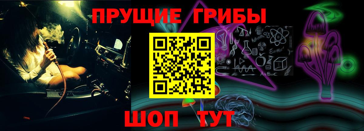 Галлюциногенные грибы GOLDEN TEACHER  Вход с VPN  Псилоцибиновые грибы Cubensis  Находка 