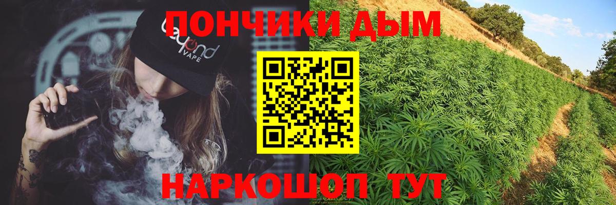 Конопля сатива Находка